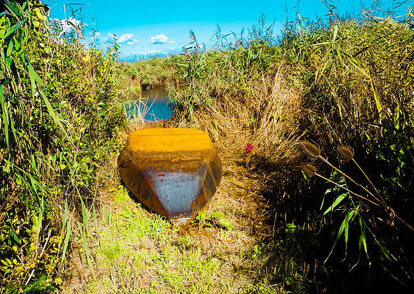 Bartholomew's boat in a bog