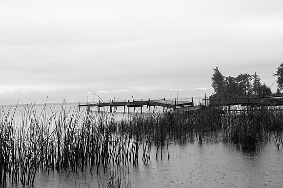 Nip's Old Dock
