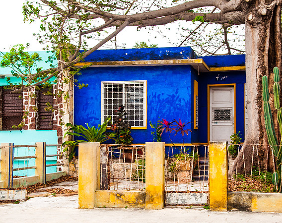 The Blue House