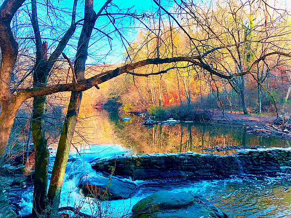 Autumn Along the Wissahickon Creek
