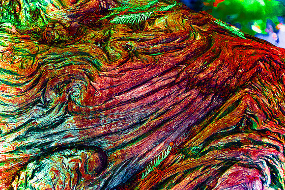 Arboreal Red and Green