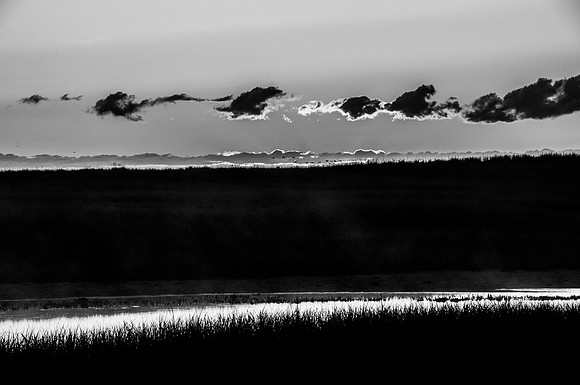 Black Sunset