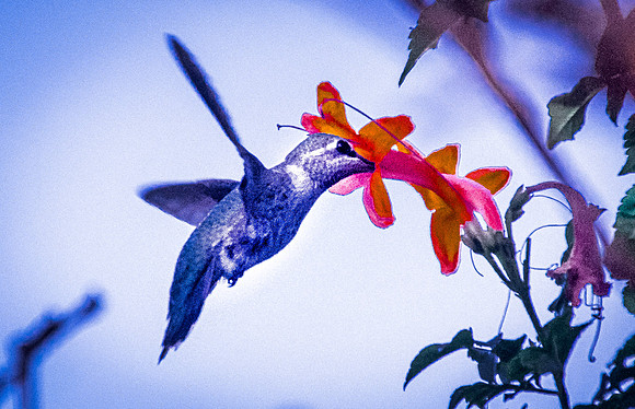 Feeding 2