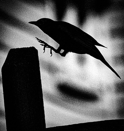 TRANSFORMATION: The Divinity of Shadow Selves