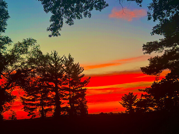 Saturation Sunset