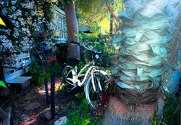 Stephen's Bicycle