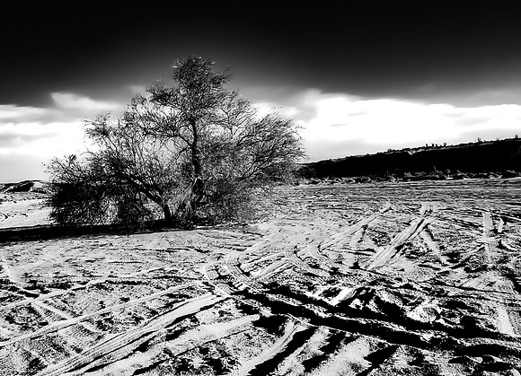Desert Furies at Salton Sea, #1