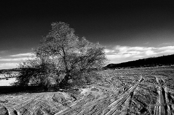 Desert Furies at Salton Sea, #2
