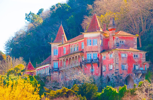 Hilltop Splendor