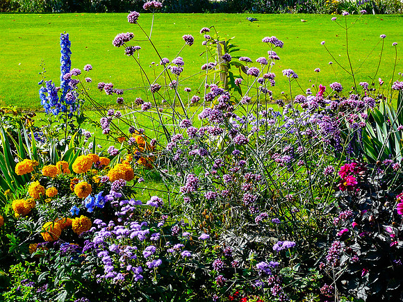 Jardin Lunatique
