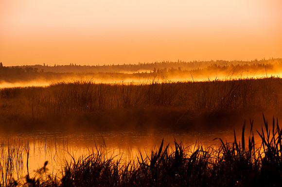 Sunrise, Whirlpool Lake