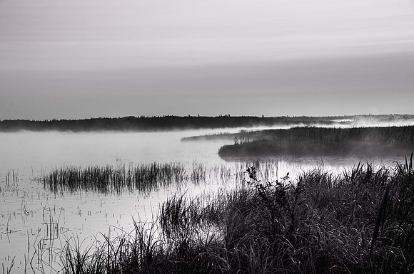 Whirlpool Misty Morn