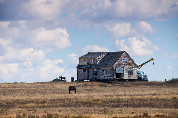 Yesterday's Homestead