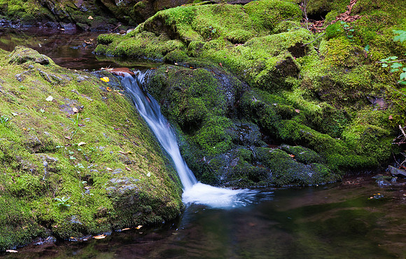 Tranquility