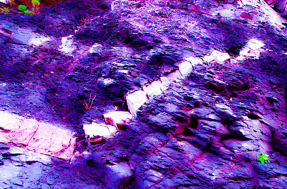 Stepping Stones with Green
