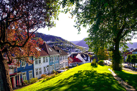 Delights of Bergen