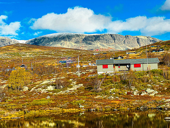 Norwegian Tundra