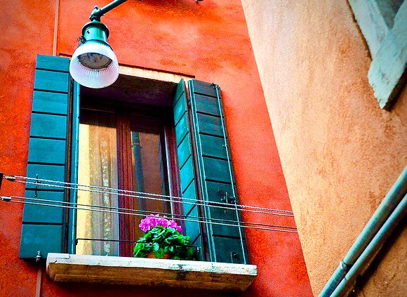 Window of Enlightenment