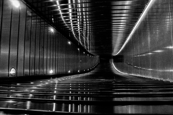 The Nature of Black and White, bottom