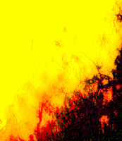 Abstracts