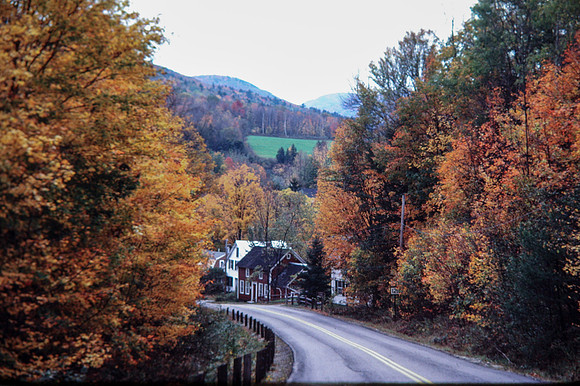 autumn, changing leaves, country road, foliage