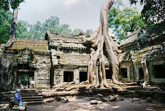 Ta Prohm, Angkor Wat,